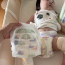 네이처굿모닝 | 킨도 kindoh 기저귀 감탄박스 신청 방법, 당첨 후기 | 킨도 베베가드 | 킨도 베베가드 네이처 | 킨도...