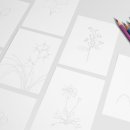 기초 보태니컬아트 이미지