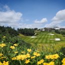 파인밸리골프클럽 이미지