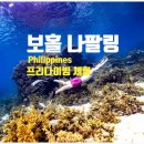 프리다이빙 체험 티스토리