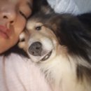 아로마천연제품 이미지