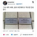 겔러리세탁 이미지