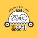 댕댕카 네이버블로그