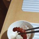 홍기네토굴새우젓 네이버블로그