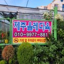 올레다육