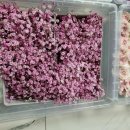 구성초등학교 병설유치원 이미지