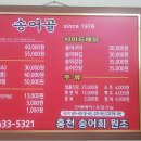 비발디송어골