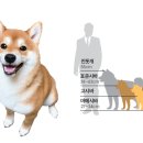 루이몽 - 8515 | 루이몽