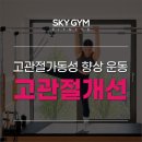 스카이짐 피트니스 괴정점 | [괴정 필라테스/스카이짐] 뻣뻣한 골반을 부드럽게 만드는 타워리포머 운동