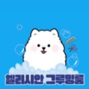 엘리시안퍼피 이미지