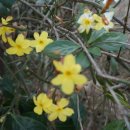 북일면사무소 이미지