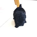 헬로펫 여수 이미지