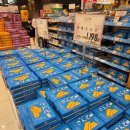 하나유키 | 유키시오 샌드 진짜 얼마나 맛있길래? 직접 먹어본 후기 / 오키나와 쇼핑리스트 추천