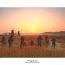 소래습지생태공원 이미지