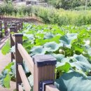 바둑골마을 이미지