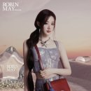 생명의 율동A 이미지