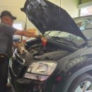 금탑 카센타 이미지