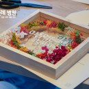 디아모스 이미지