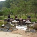 다산농원 이미지