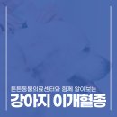튼튼동물병원 이미지
