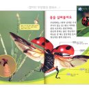 자연나라 이미지