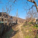 서부리 삼층석탑(西部里 三層石塔) 이미지