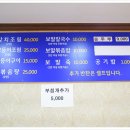 싱싱오름 이미지