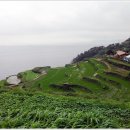 가천다랭이마을 이미지