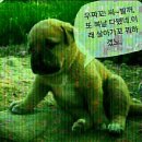참 이미지