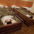 네츄럴제주