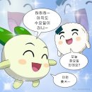 괌 - 13, 14 | 신광일군대가지마