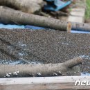 장군면사무소 이미지