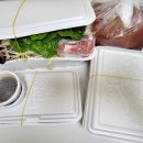 매트로펠리스Ⅱ-B 이미지