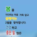 어은돌야영장 이미지