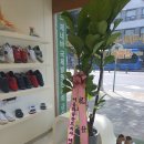 슈올즈 대전중앙시장점 이미지