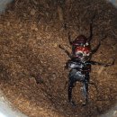 충우농장 이미지