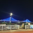 함안활어 | [부산/회] 민락어민활어직판장 (함안상회)