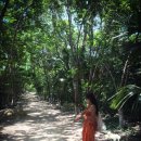 에덴피시 이미지