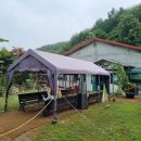 옥전목장 | [충청도 여행] 중부내륙힐링여행, 충주 / 제천여행(feat. 옥전자연휴양림)