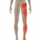 코뿔소 마취통증의학과 의원 이미지