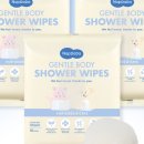 강아지봄 이미지