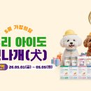 신나개 이미지