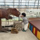 유일농장 | 강릉 가볼만한곳 강릉쌍둥이동물농장 아이랑 두번째 방문후기