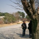 2009.3.28 동구총동문회 호암미술관 견학 이미지