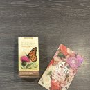 리프레쉬 | 밀크씨슬 효능 확실하게 챙기는 프레쉬하모니 밀크씨슬 리프레쉬 후기