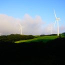 백두그린 이미지