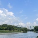 롸카두둘두 - 강남구 언주로164길 35-3 | 롸카두둘두