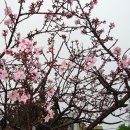 우룡산공원 이미지