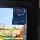 네이처러스 판포나일 이미지