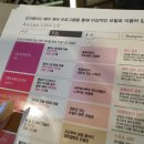 메종드뮤 이미지